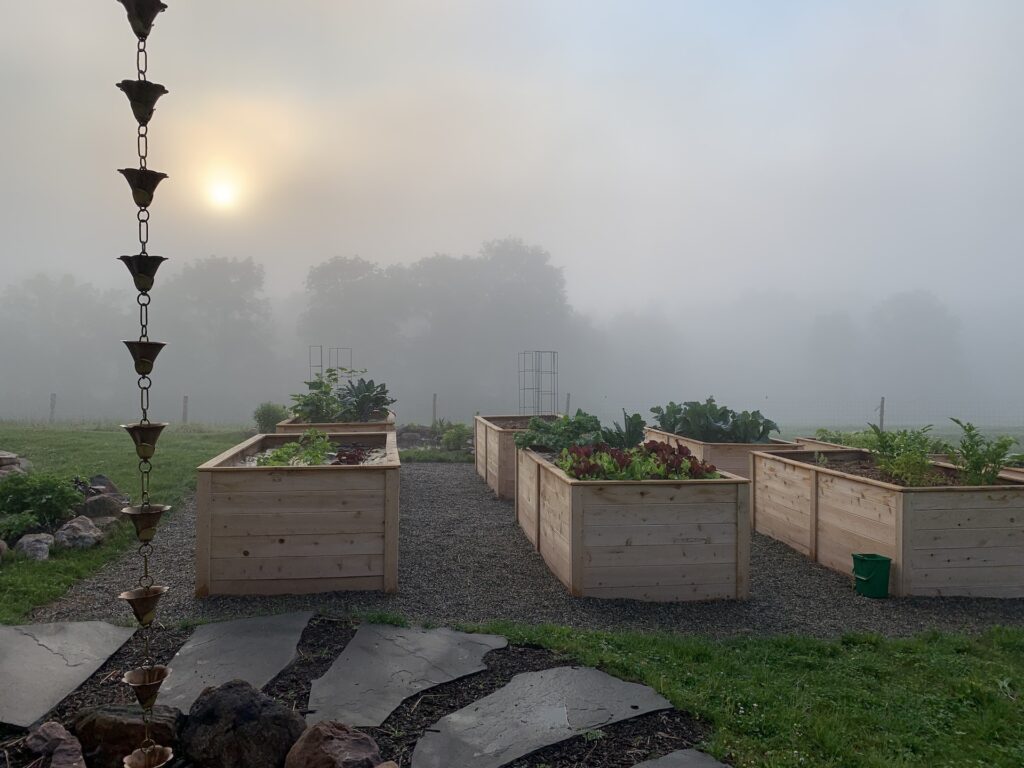 Raised vegetable beds at Cold Brook Farm